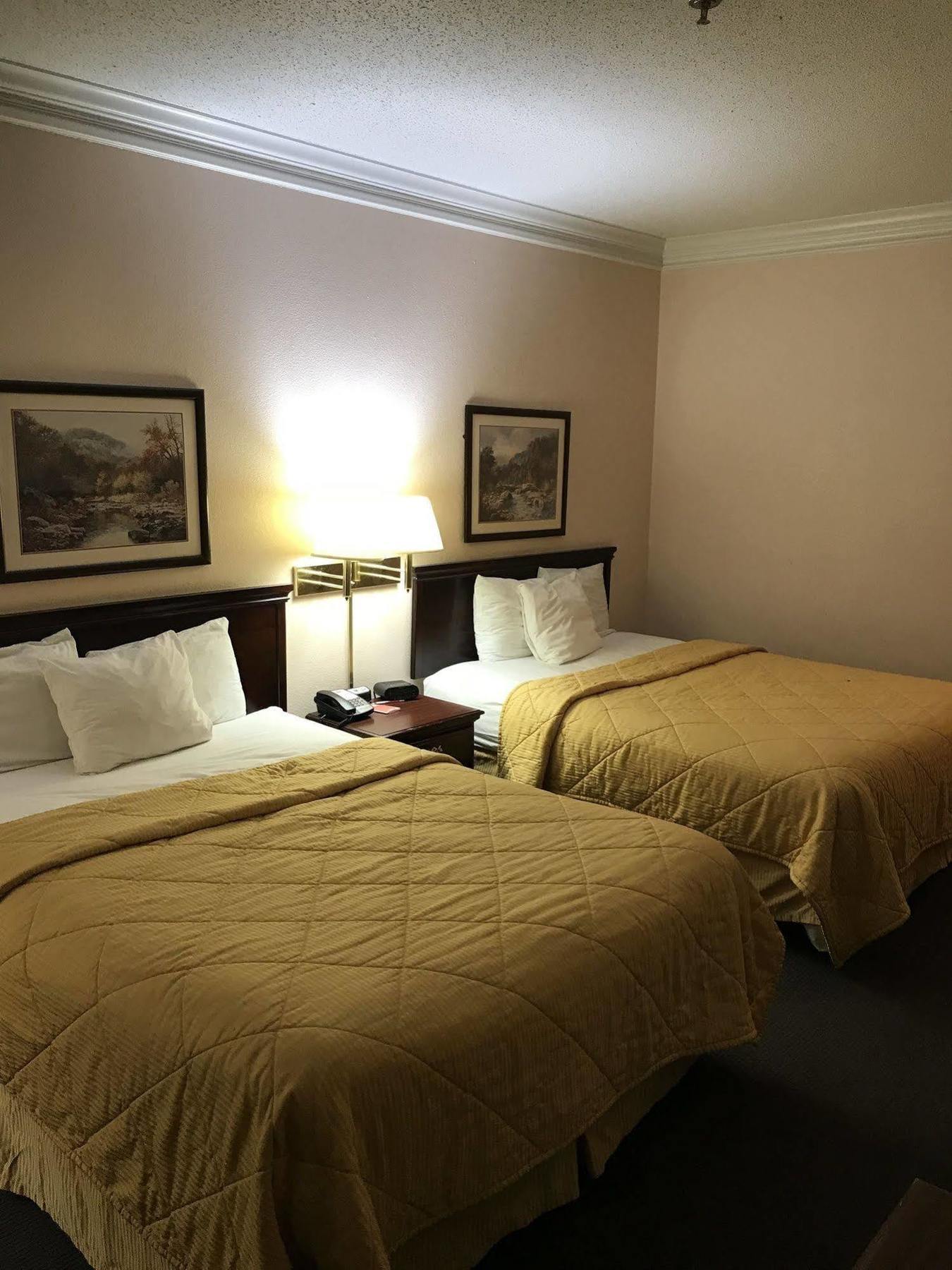 Rodeway Inn Стивънвил Екстериор снимка